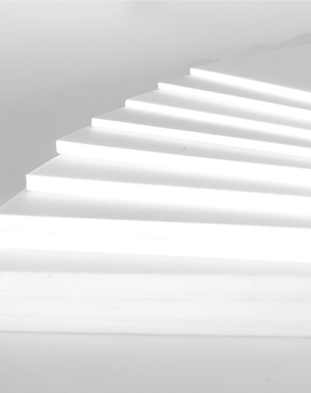 ???????????????????????? supercritical fluid